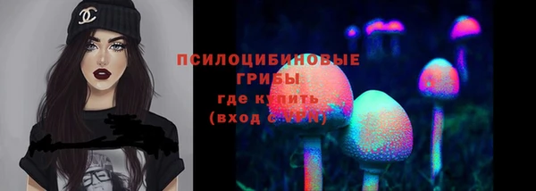 соль ск Алзамай