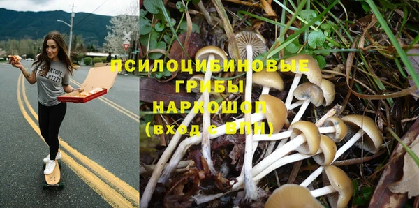 соль ск Алзамай