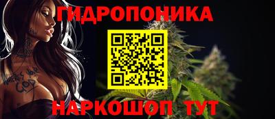 индика Тула