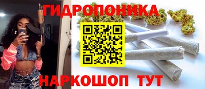 индика Тула
