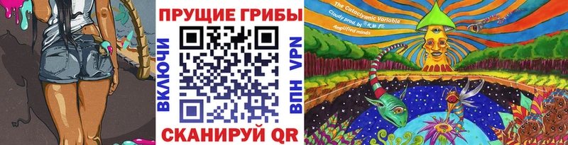 Псилоцибиновые грибы GOLDEN TEACHER  купить   Новоуральск 